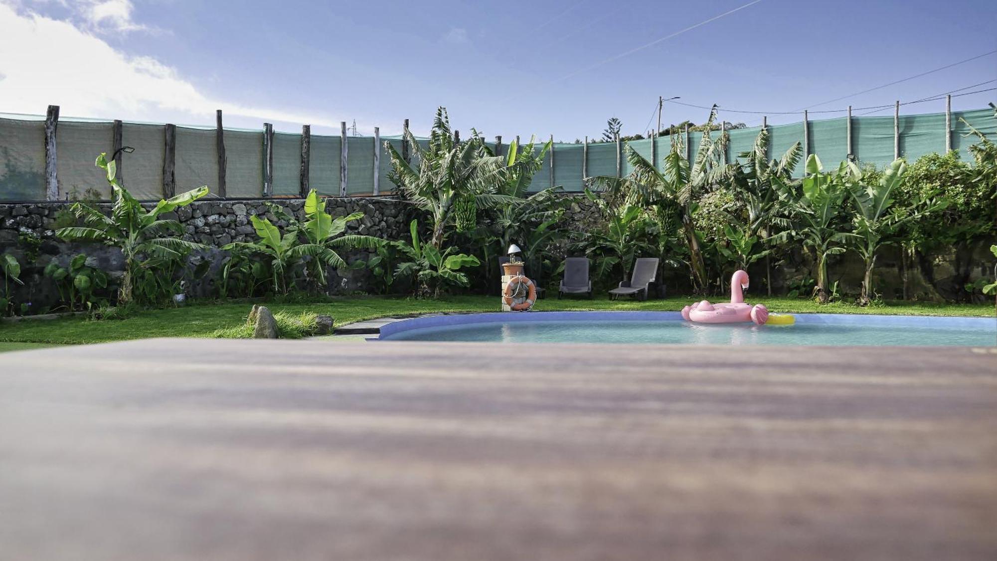 Villa Canaria Luna - Large Saltwater Pool